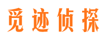 东兴市调查公司